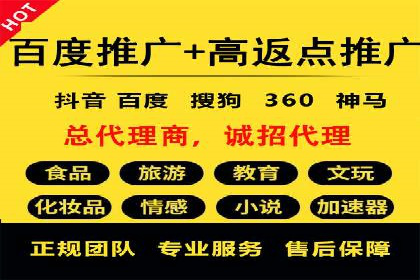 百度推广案例：精准广告投放策略解析