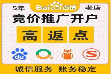 某企业通过SEO和SEM双管齐下实现业绩飞跃的案例